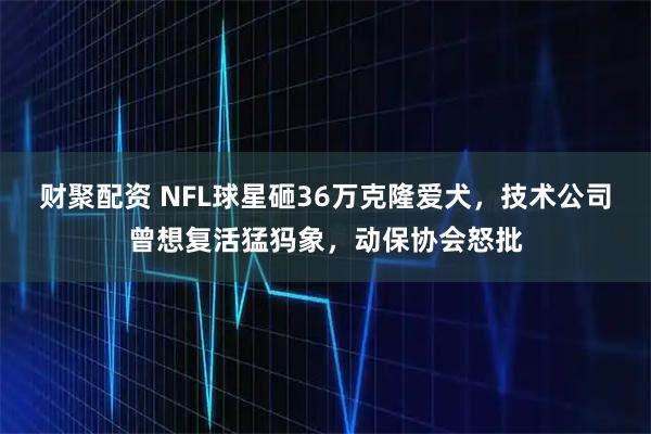 财聚配资 NFL球星砸36万克隆爱犬，技术公司曾想复活猛犸象，动保协会怒批