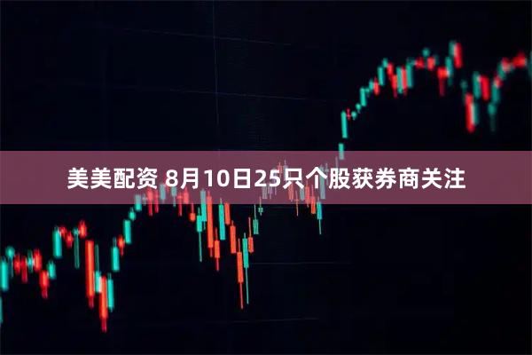 美美配资 8月10日25只个股获券商关注