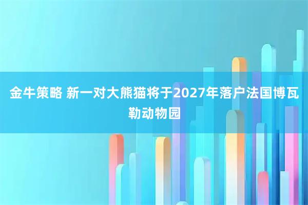 金牛策略 新一对大熊猫将于2027年落户法国博瓦勒动物园