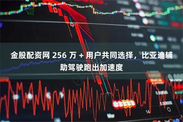 金股配资网 256 万 + 用户共同选择，比亚迪辅助驾驶跑出加速度