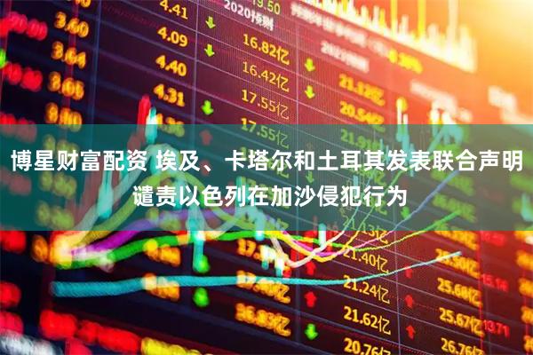 博星财富配资 埃及、卡塔尔和土耳其发表联合声明 谴责以色列在加沙侵犯行为